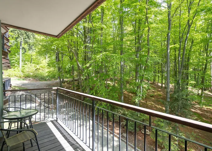 Apartment Karkonosky - Rozany *