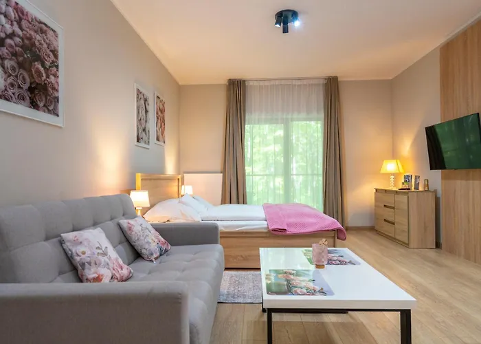 Karkonosky - Rozany Apartment Schreiberhau